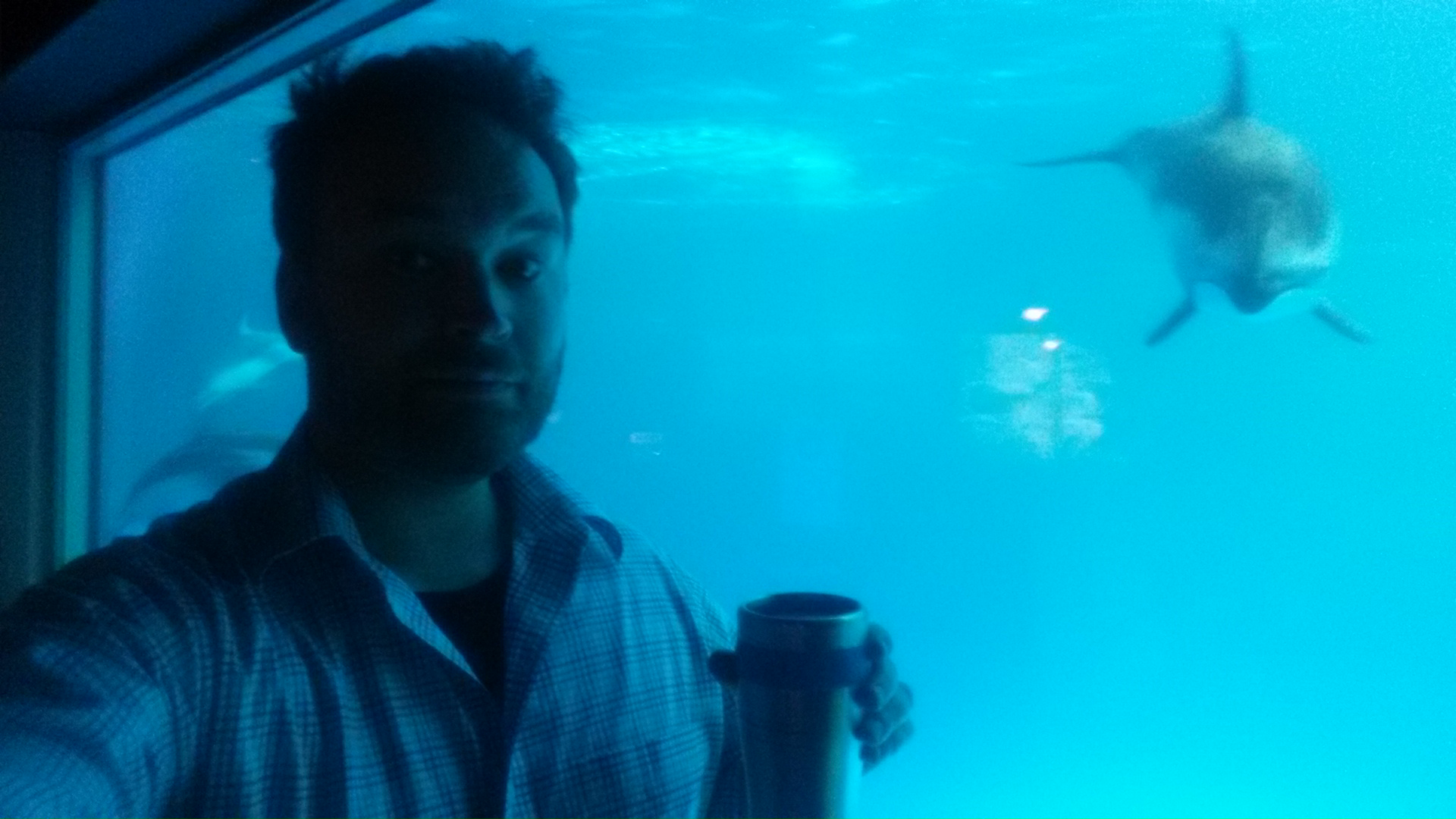 MSLCE Student Reflects on Internship at Shedd Aquarium MS in